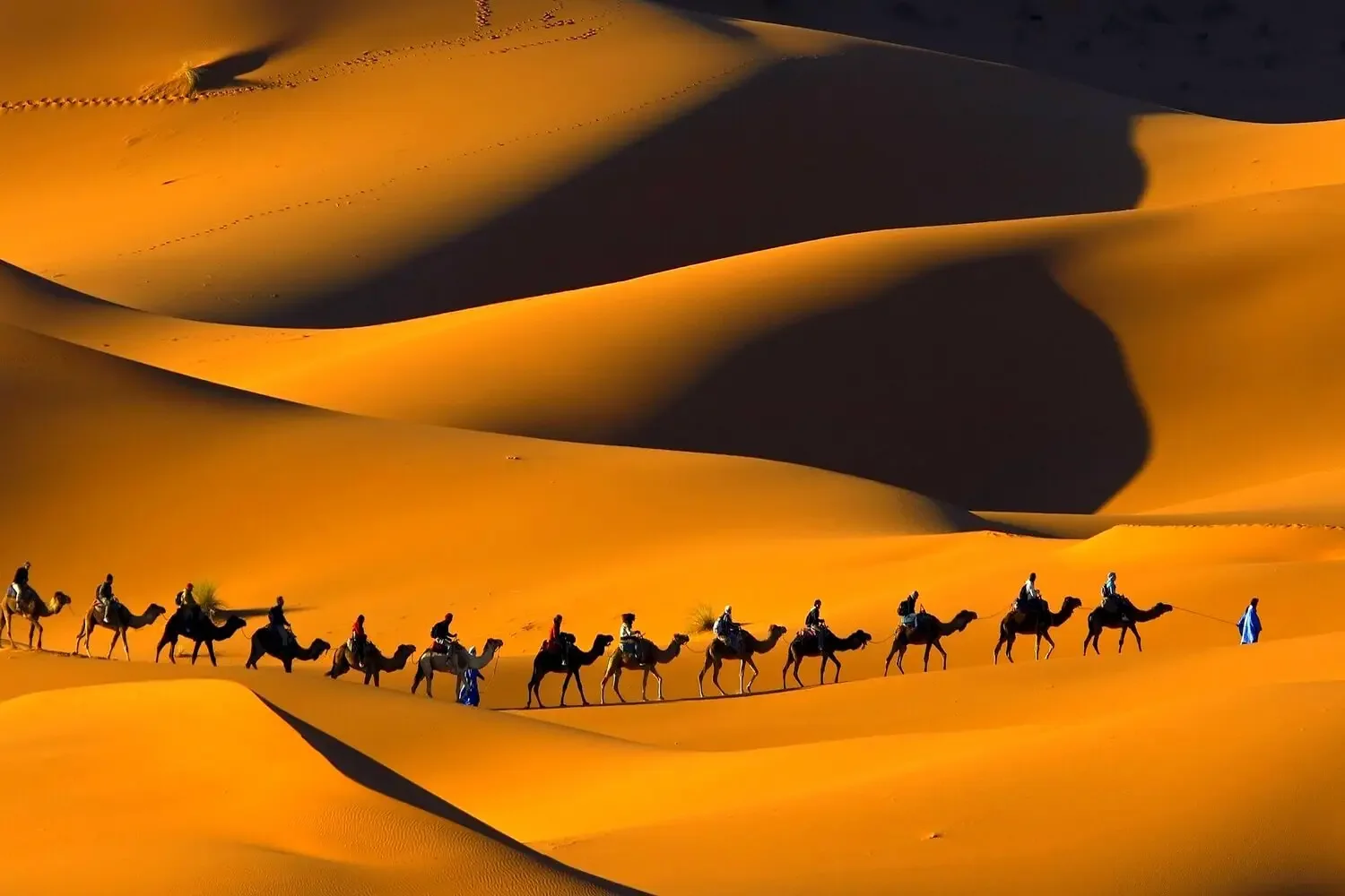 Voyage de Luxe à Merzouga - Image 4