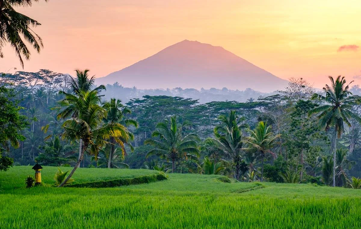 Indonesia - Archipelago of Wonders