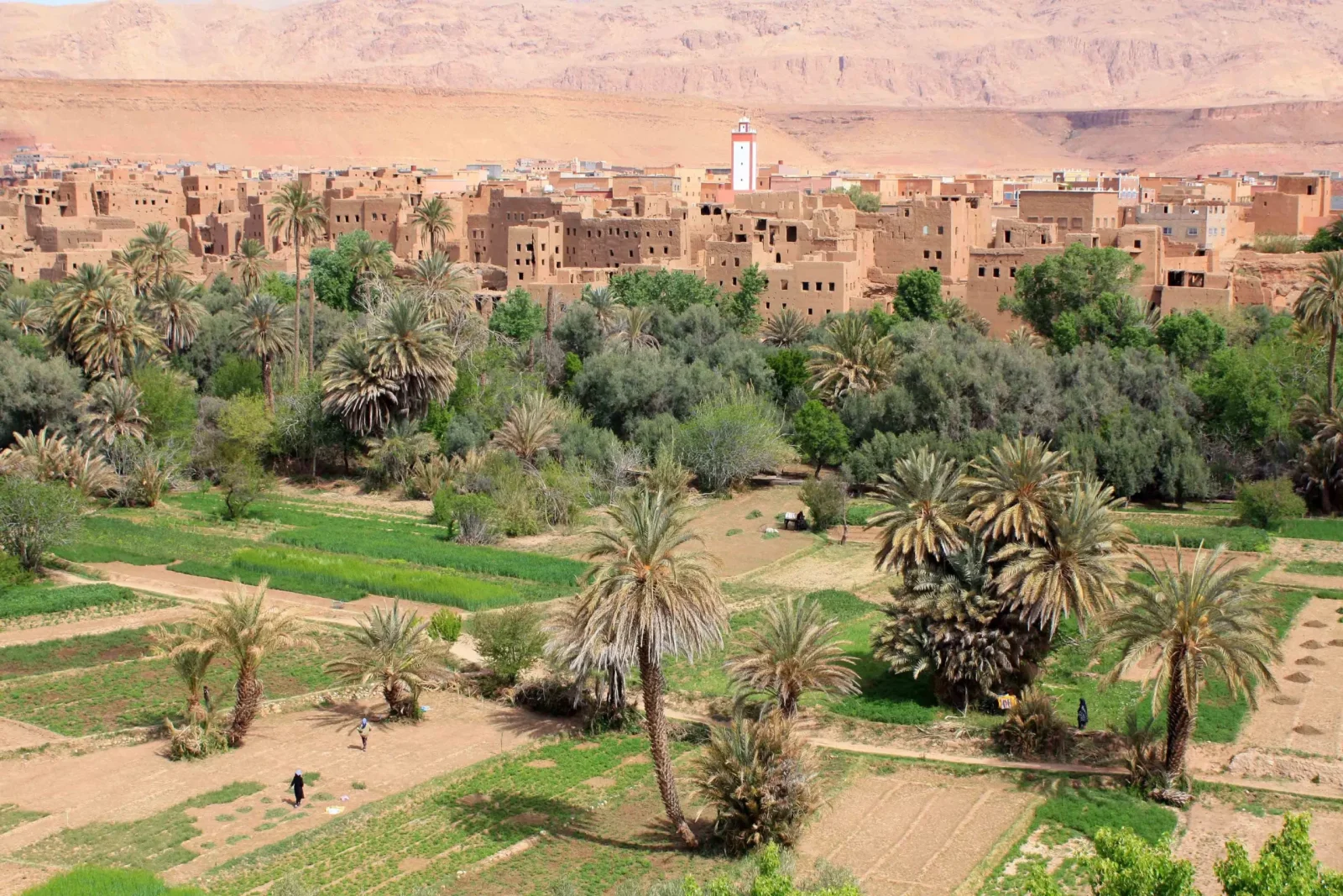 Les Kasbahs du désert (Ouarzazate – Merzouga) - Image 8