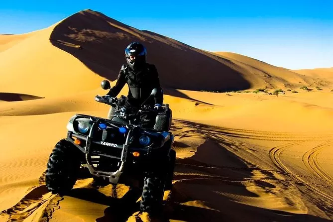 Dans les sables : Une aventure inoubliable dans le désert du Sahara - Image