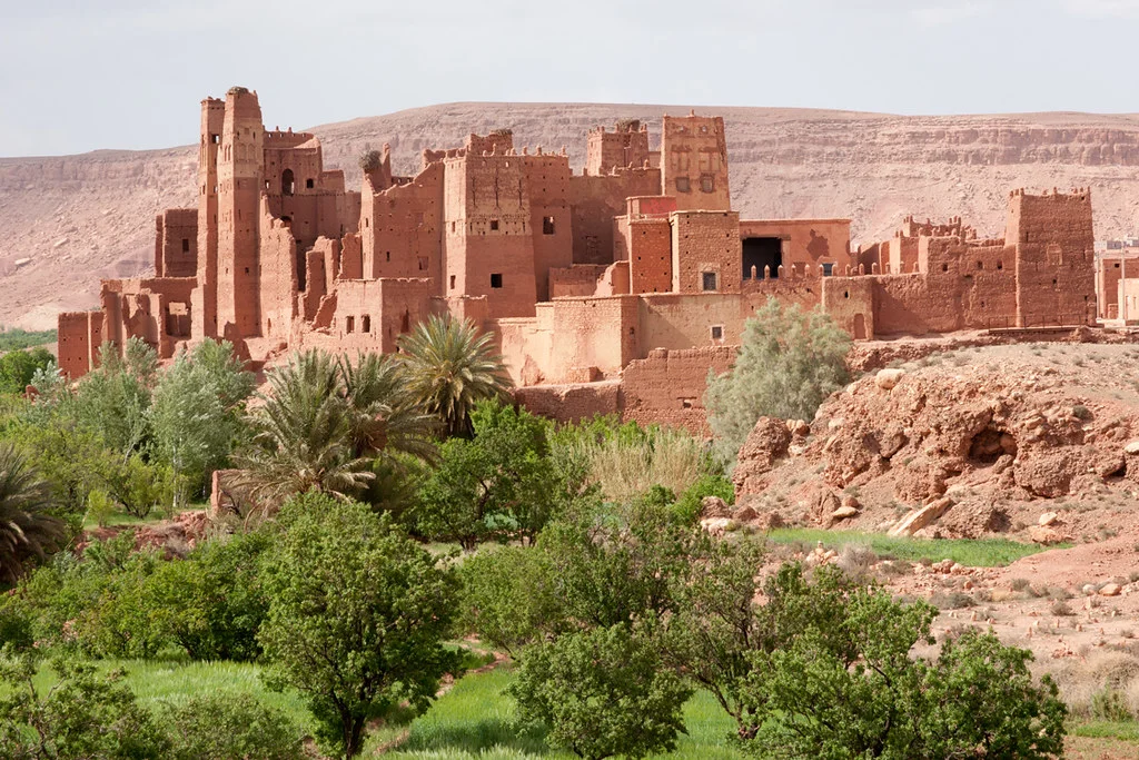 Oasis et Désert : La Grande Traversée par Avion - Image 7