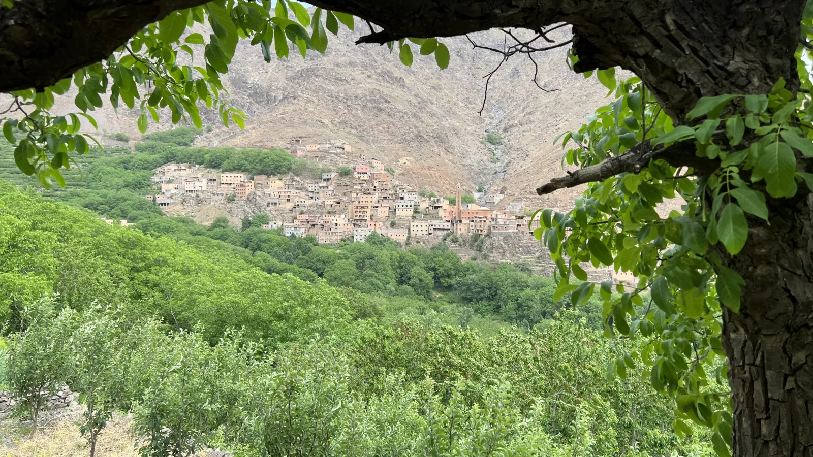 Douar Samra Imlil: Authentic Journey in the Heart of the High Atlas - Image 10