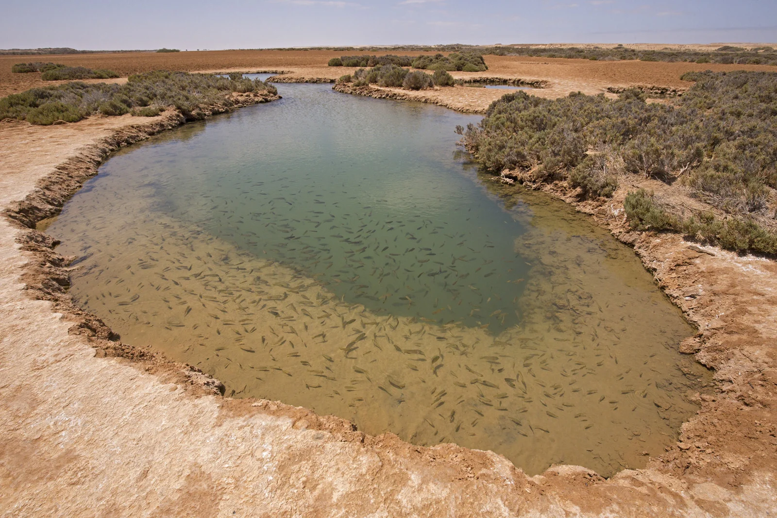Dakhla Evasion (Copie) - Image 10
