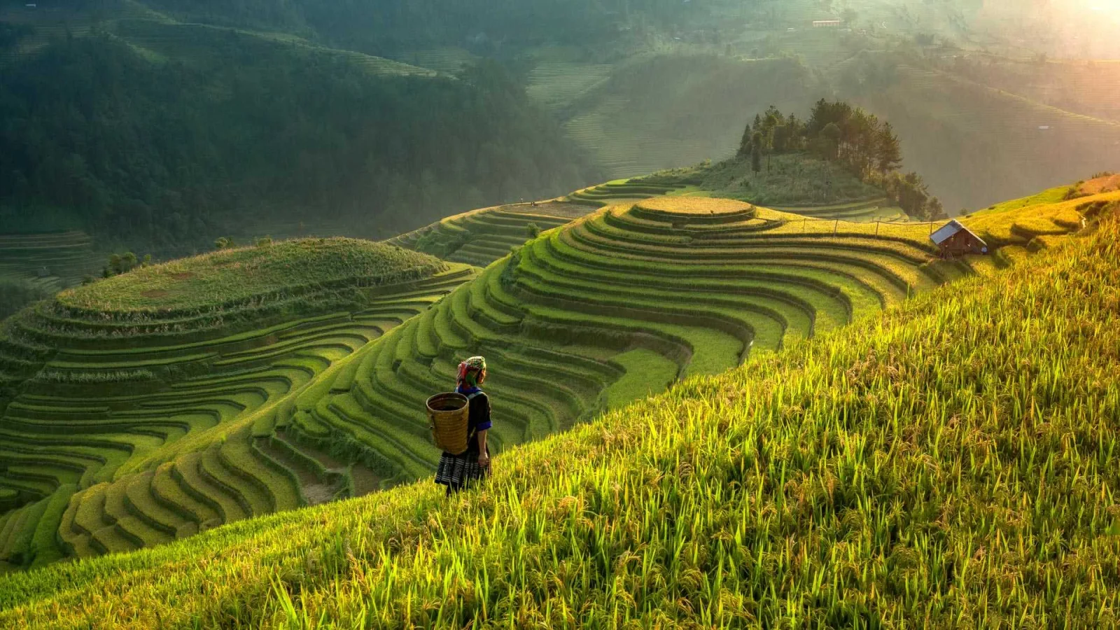Le Vietnam Autrement — Entre Traditions, Rizières & Eaux Émeraude - Image 16