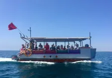 Excursion en bateau, baignade et visite de l'île du Dragon (en option)