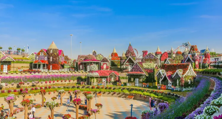 Miracle Garden Dubai